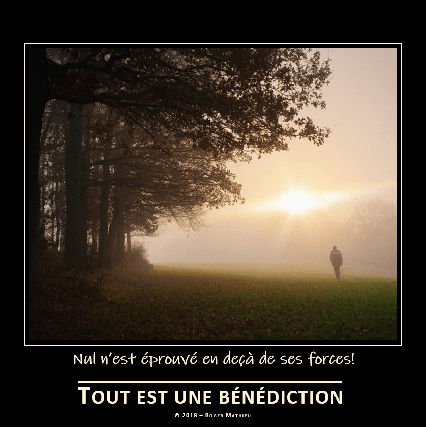 Nul_nest_eprouve_en_deca_de_ses_forces