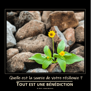 quelle_est_la_source_de_votre_resilience